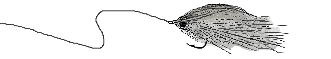 Saltwater Fly Fishing La Paz Baja Mexico, Fly Fishing Cerralvo Island Baja Mexico, Flyfishing Las Arenas Baja Mexico